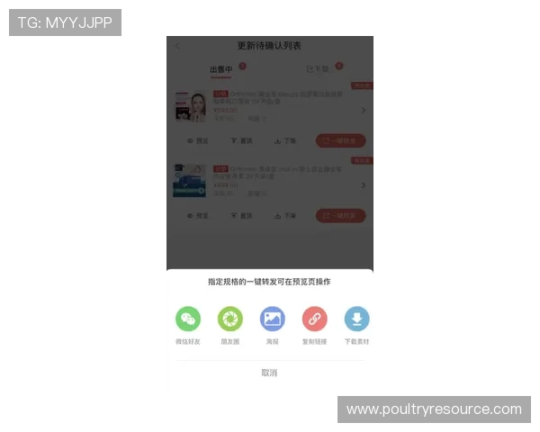 必赢客服怎么联系以获得快速帮助和解决方案的详细指南