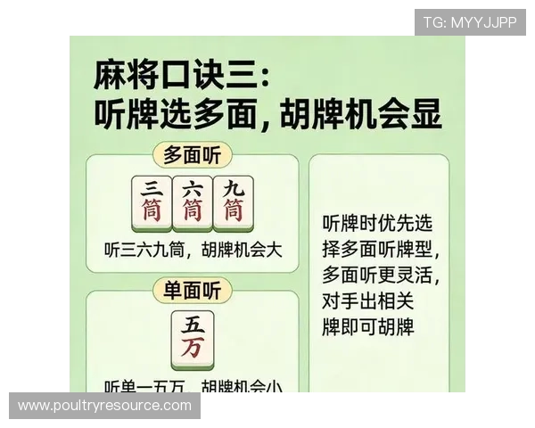 掌握百家乐必赢公式的核心原理帮助玩家提升胜率的实战指南